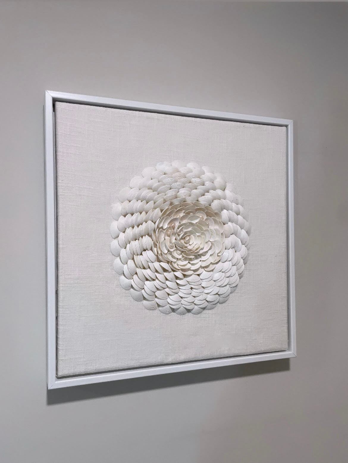 Grand Eclipse – Seashell Wall Art in Floater Frame