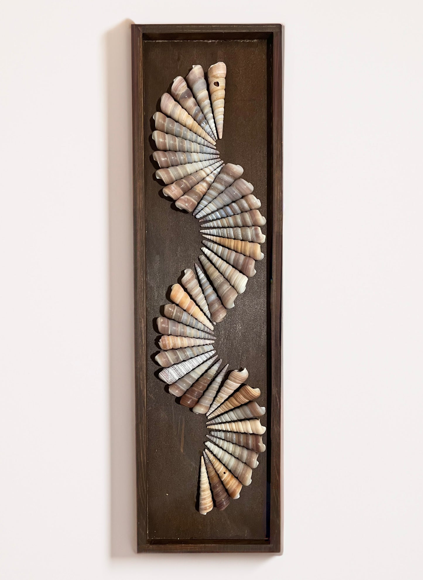 Spiral Shell Wall Art – Handmade Seashell Home Decor