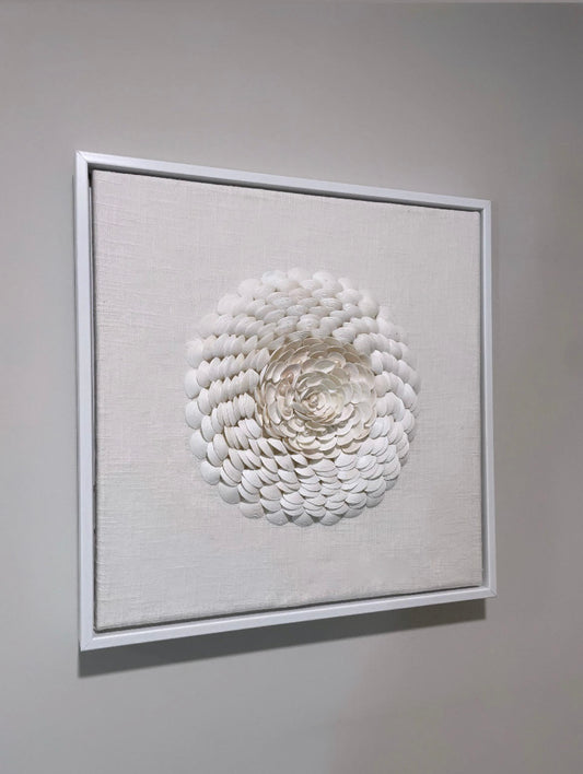 Grand Eclipse – Seashell Wall Art in Floater Frame
