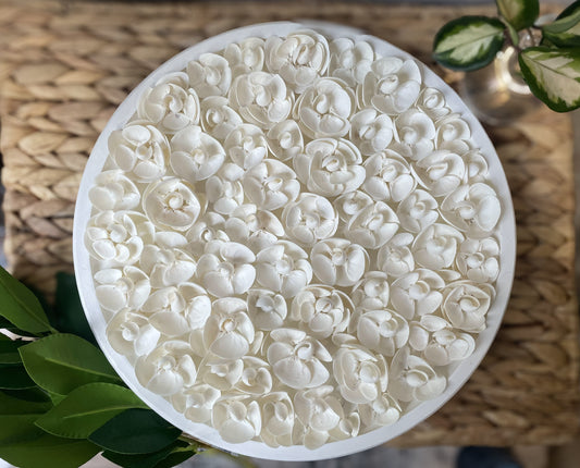 Handcrafted Seashell Floral Wall Art – Large Round Coastal Decor, Elegant White Shell Artwork